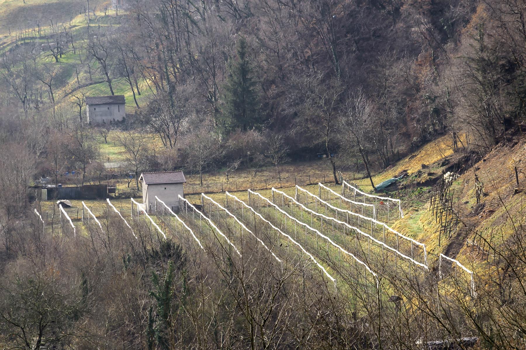 Il Giardino della Frutta — foto 3