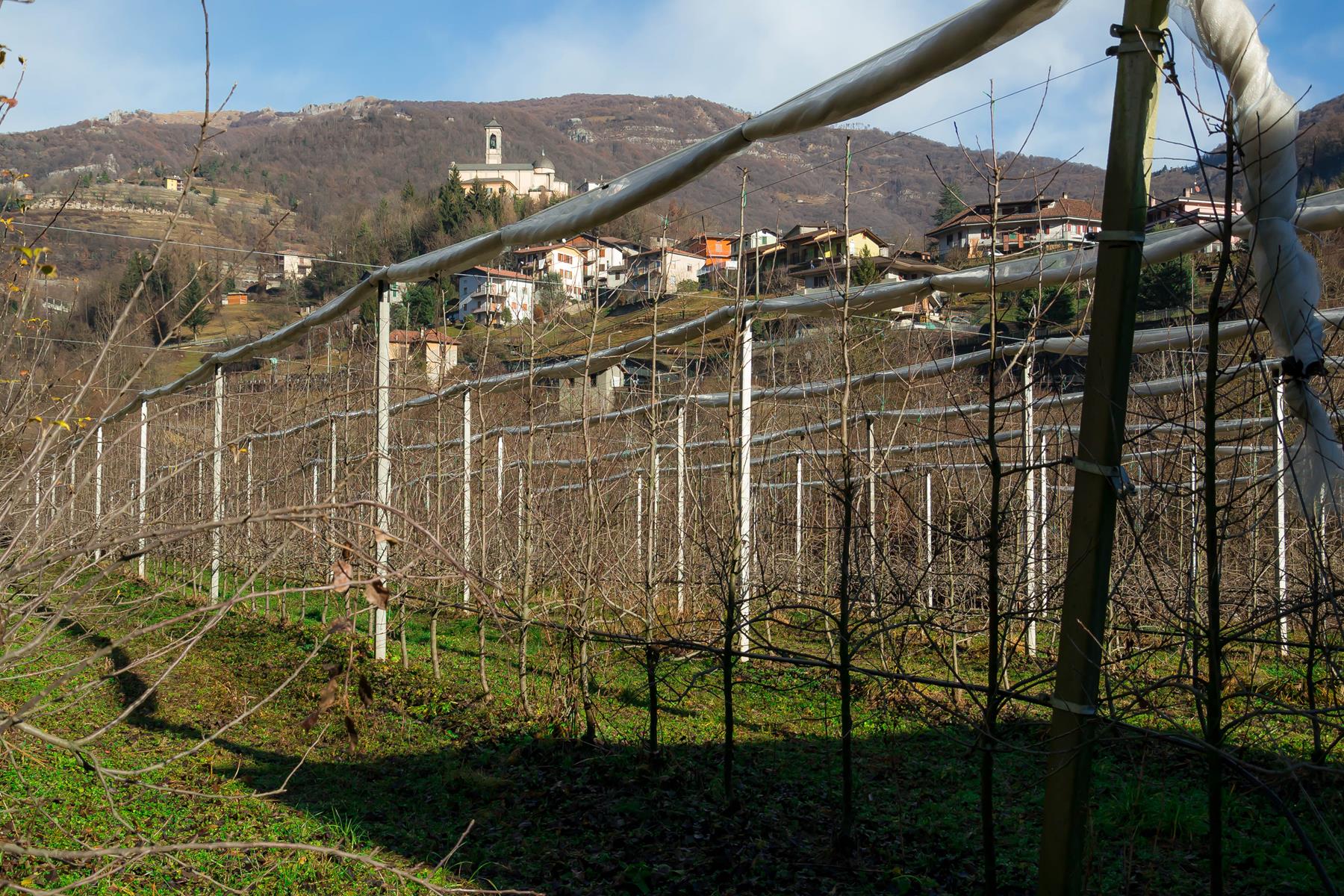 Il Giardino della Frutta — foto 5