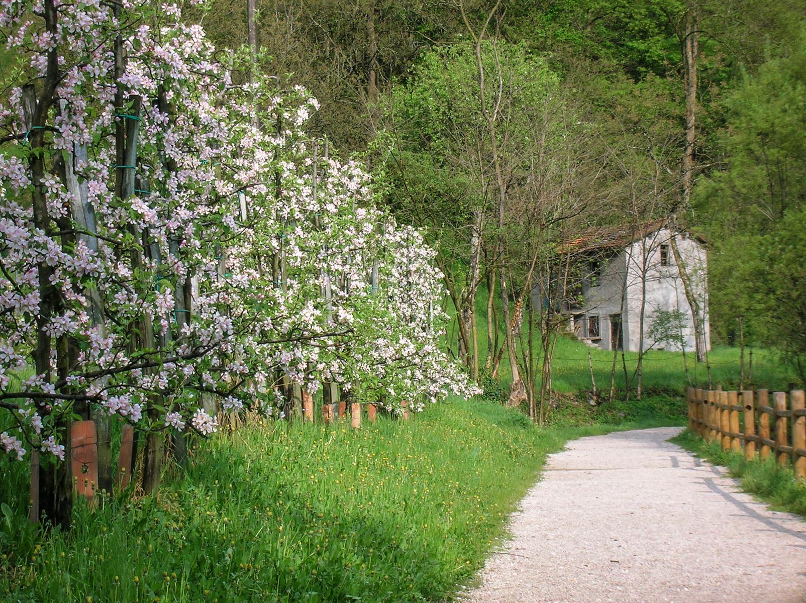 Il Giardino della Frutta — foto 2